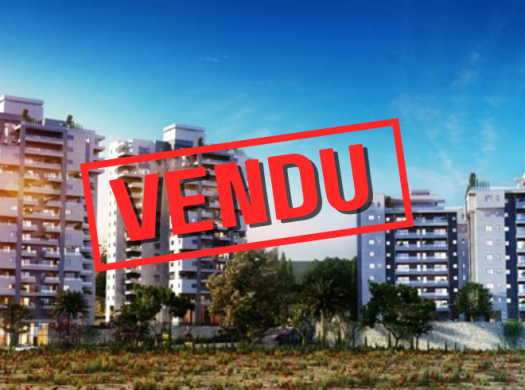 Kidmat Dimri Netanya