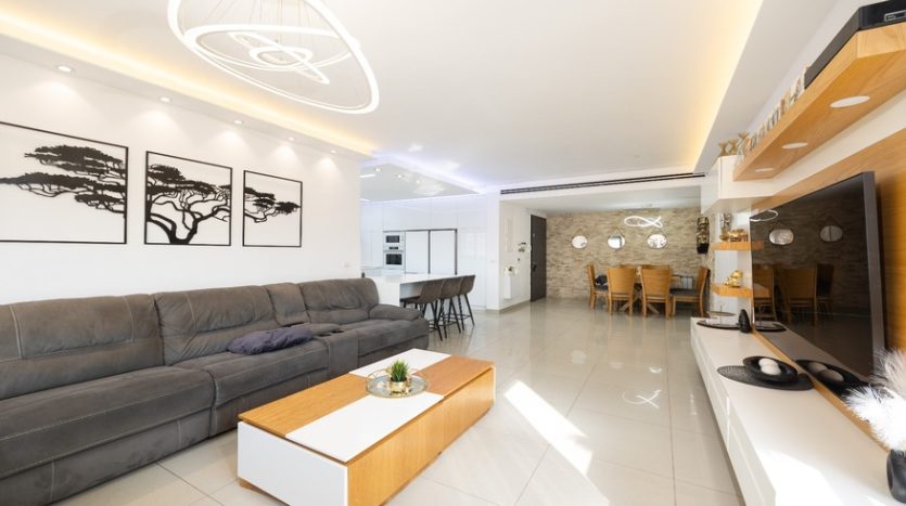 Har Homa Penthouse 12